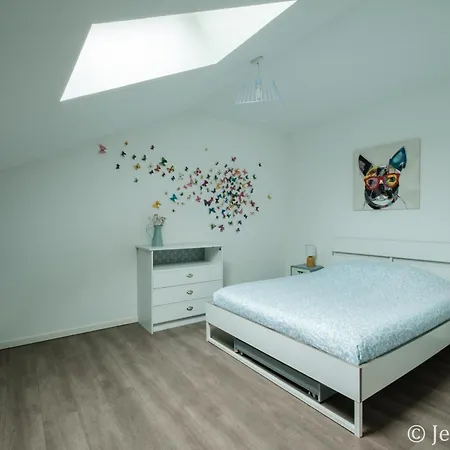Superbe Type Loft En Duplex Rue Buat Apartment *